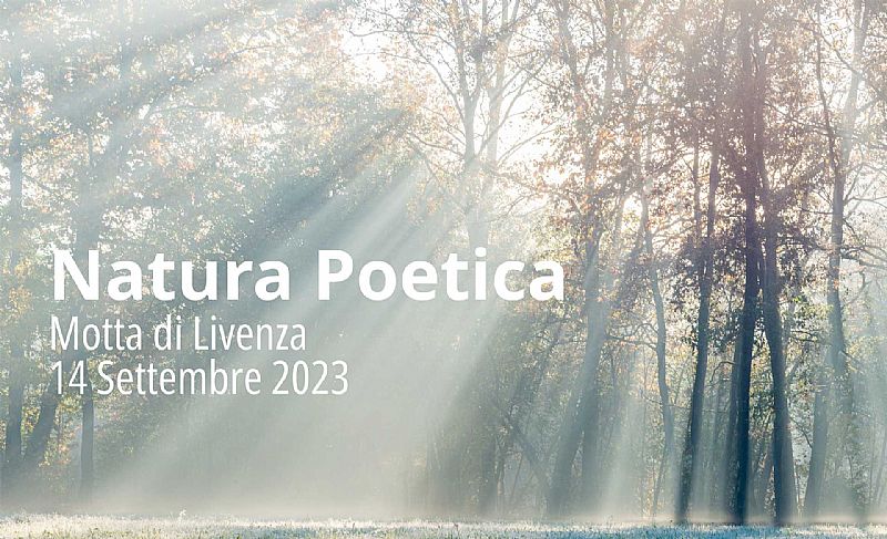 Natura Poetica di Luigi Dorigo - Ali e Radici Multivisioni Natura Poetica